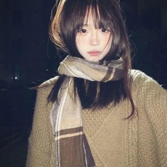 侠岚